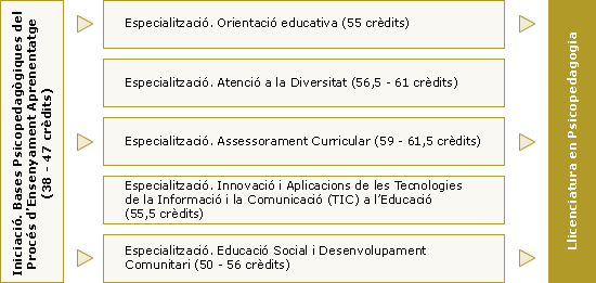taula_psicoped