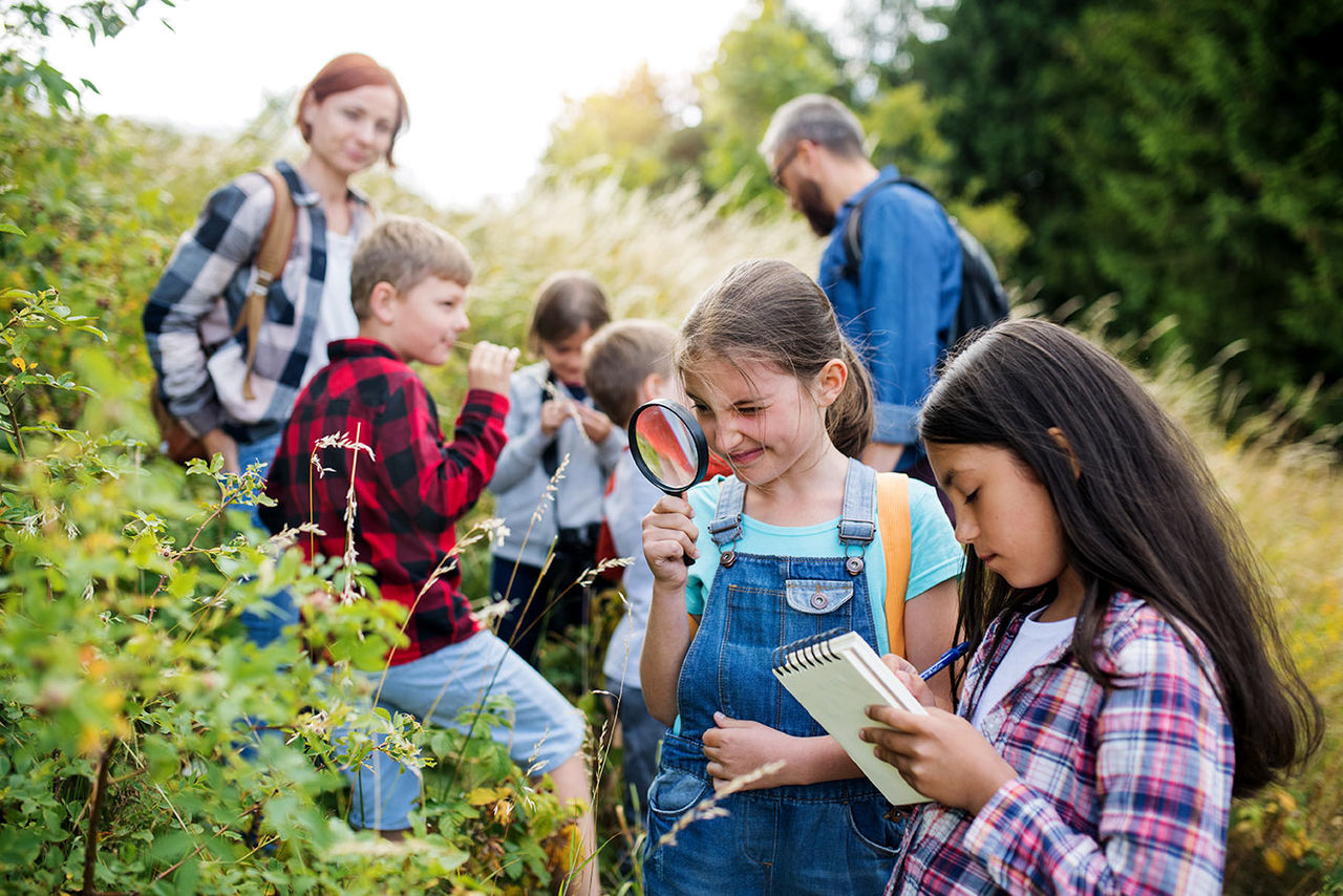 IA aplicada a l'educació