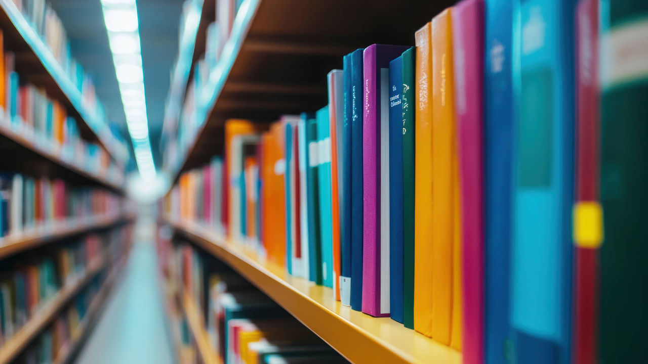 llibres a la biblioteca