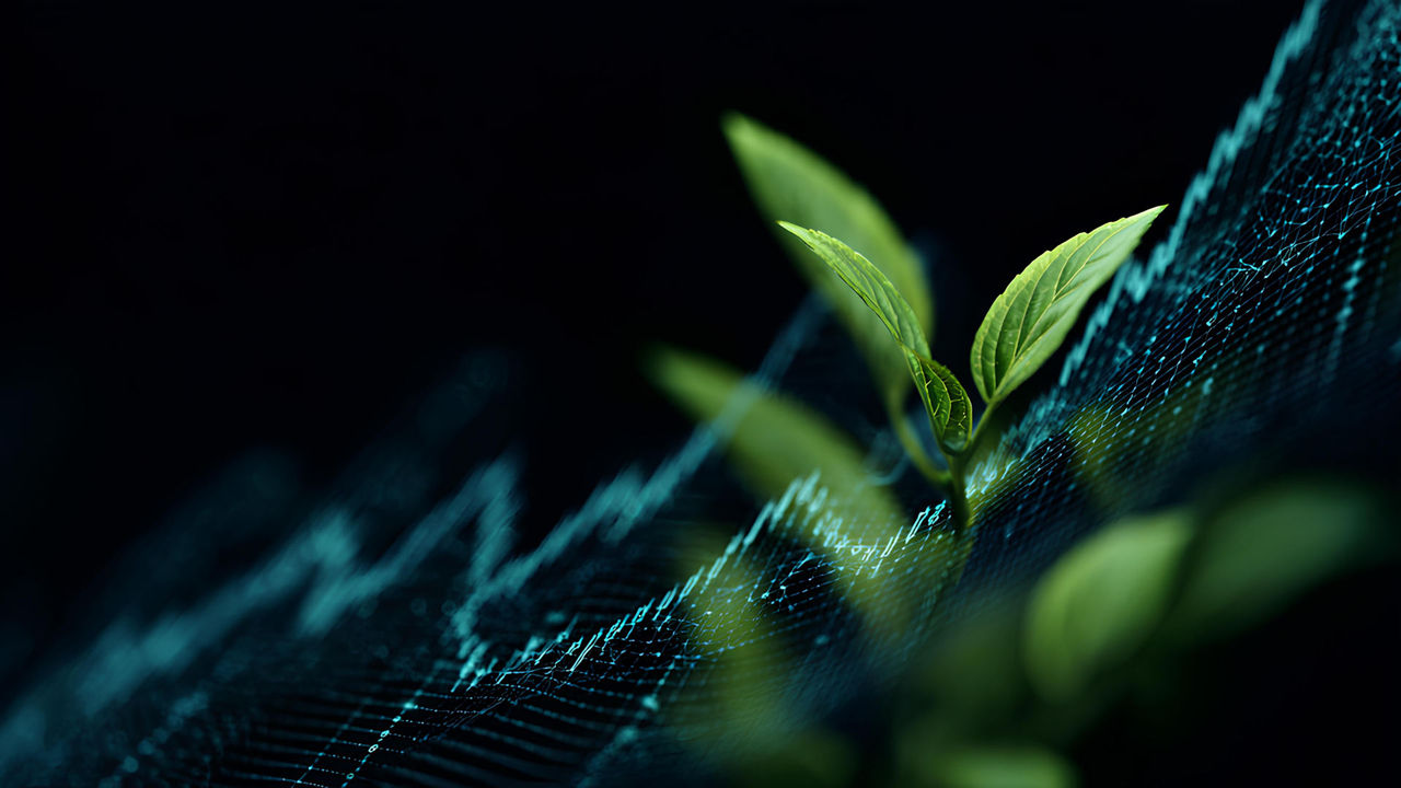 planta amb una gràfica