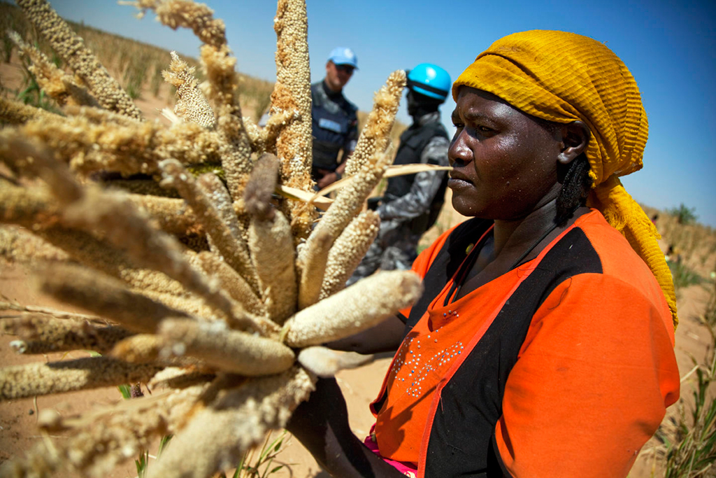 Ciento veinte técnicos internacionales y de la ONU han pasado por la UOC en los tres años de alianza con UNITAR.<br />Foto: United Nations Photo / Flickr (CC)