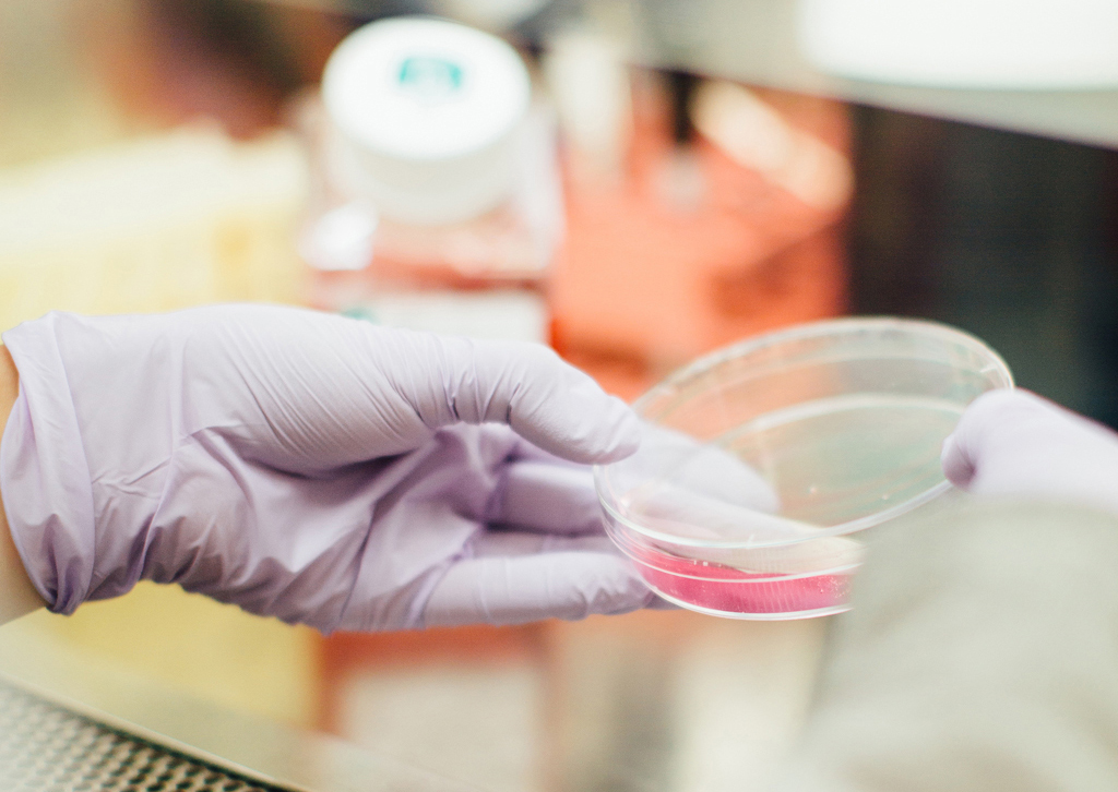 Foto: Unsplash/Drew Hays