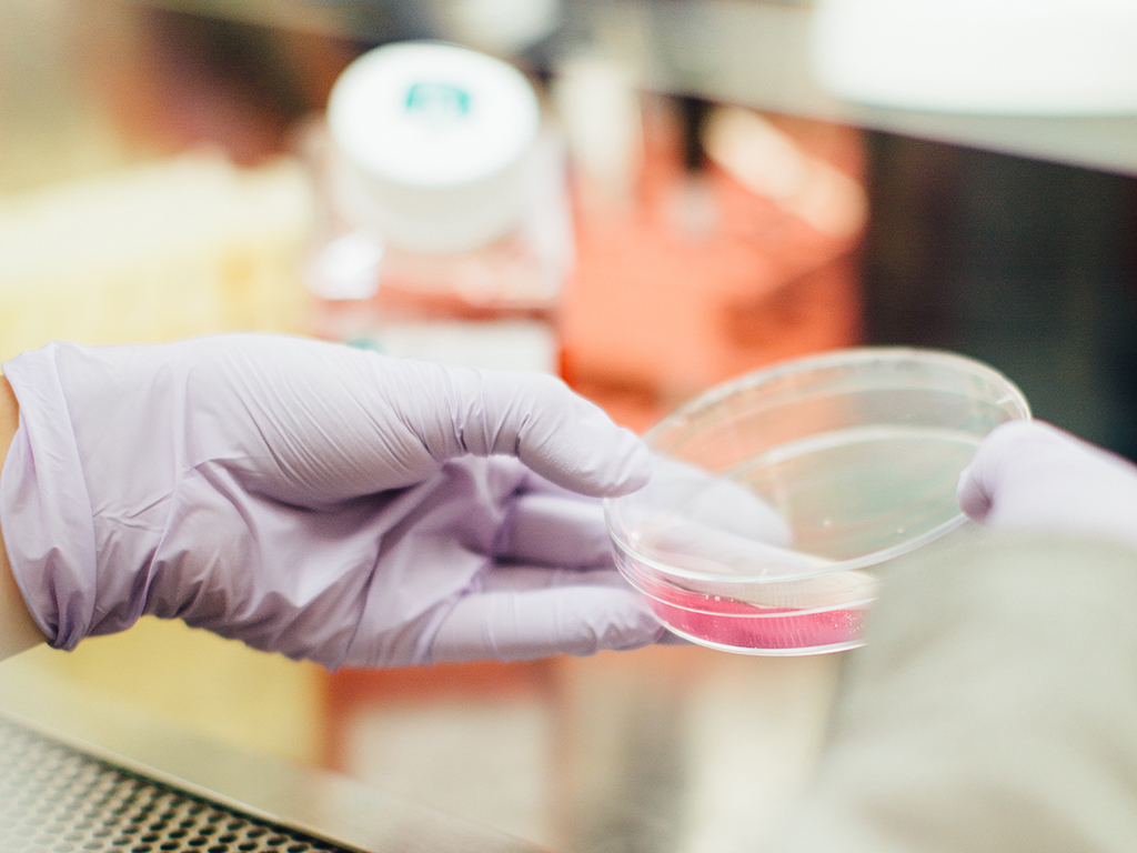 Photo: <a href="https://unsplash.com/photos/tGYrlchfObE" target="_blank">Unsplash/Drew Hays</a>