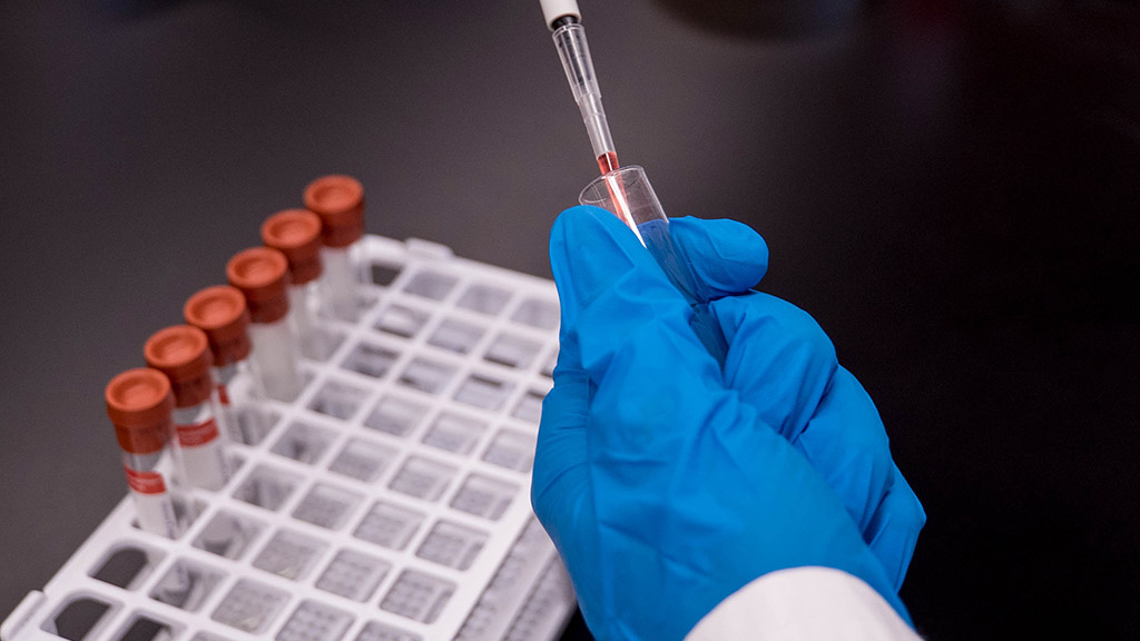 Foto: Trust Tu Katsande / Unsplash