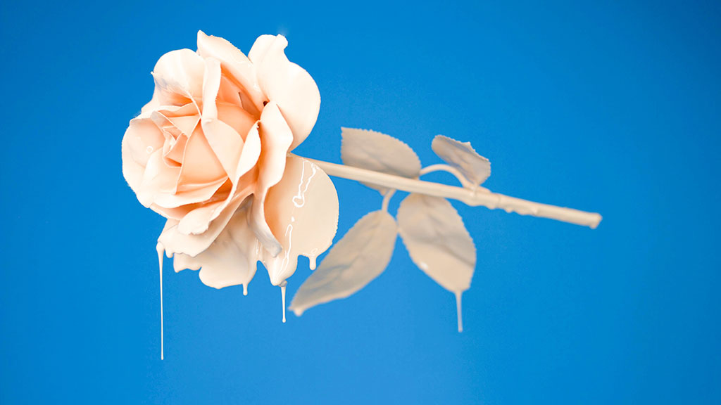 Foto: Davisco / Unsplash