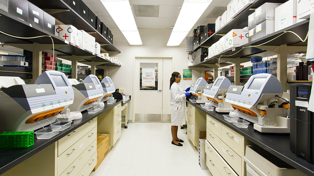 Foto: National Cancer Institute  / Unsplash