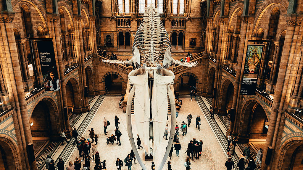 Photo: Sheng Li / <a href="https://unsplash.com/" target="_blank">unsplash.com</a>