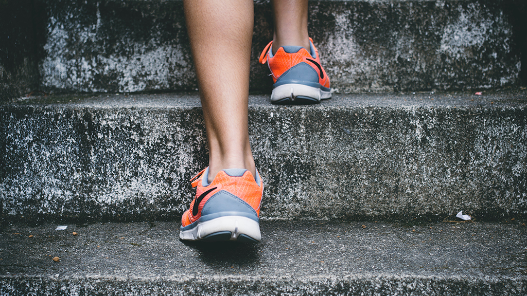 Bruno Nascimento / unsplash.com