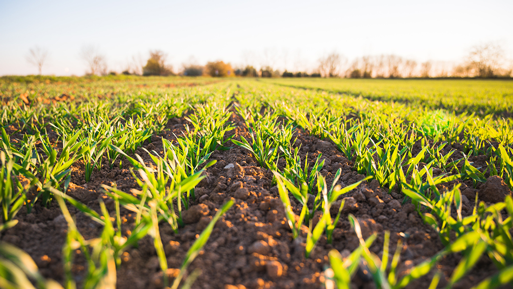 Foto: Jan Kopriva / unsplash.com