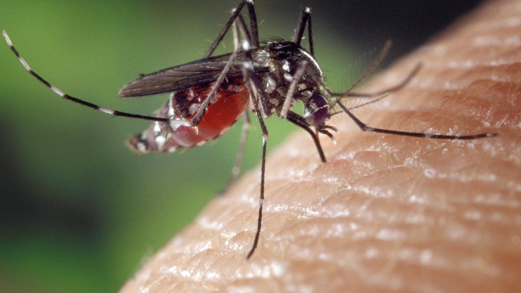 Amb una senzilla foto i una aplicació, la ciutadania pot ajudar a generar un mapa de la distribució dels mosquits a tot el món (foto: FotoshopTofs / Pixabay)