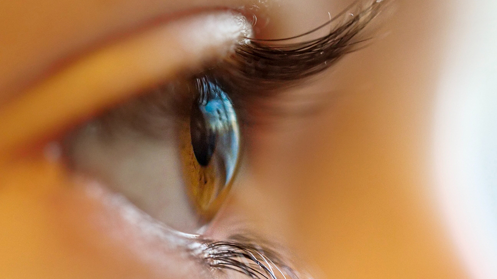 El projecte promou que el topògraf integrat al mòbil arribi a les òptiques amb un preu assequible (foto: Adrian Gordon / unsplash.com)