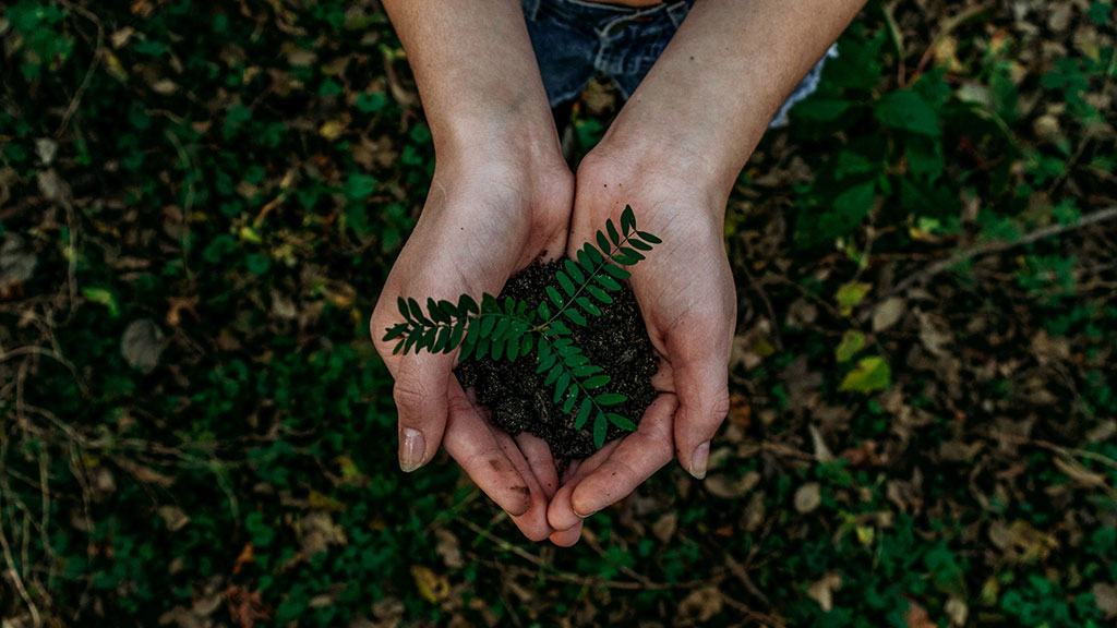 In response to the climate emergency, the Universitat Oberta de Catalunya (UOC) has decided to calculate the greenhouse gas emissions that it produces. (Photo: Noah Buscher / Unsplash)