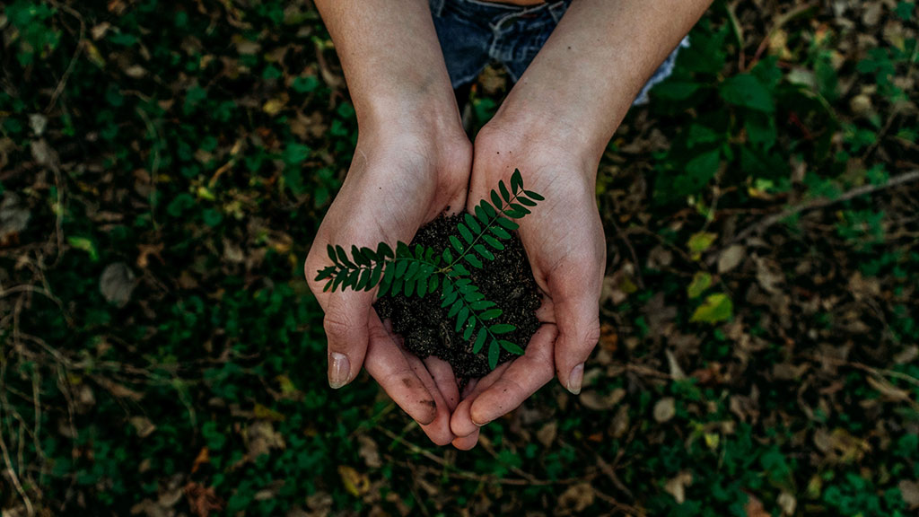 Sensible a la emergencia climática, la Universitat Oberta de Catalunya decide calcular las emisiones de gases de efecto invernadero que produce. (Foto: Noah Buscher / Unsplash)