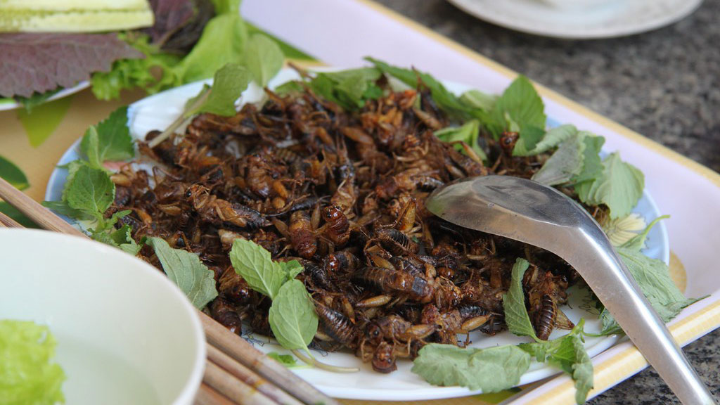 Would you eat insects? Deep fried and ready to be consumed. (Photo: Richard Allaway, licensed under CC BY 2.0)
