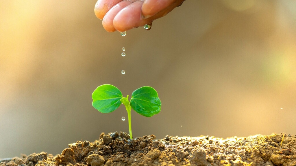 El 2,5% del PIB español depende de la agricultura.