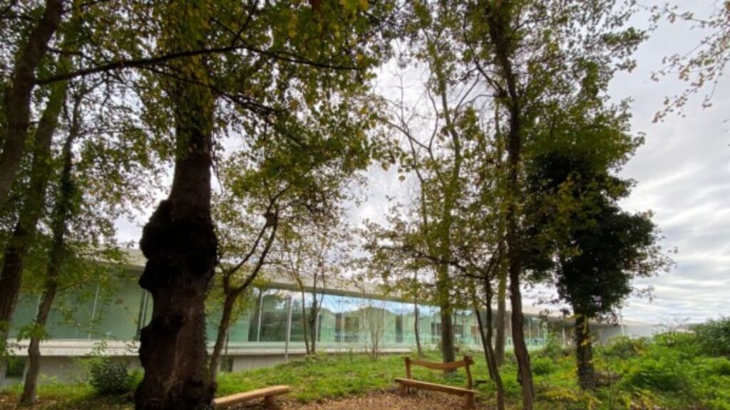 Bosc "Els Tres Roures" de l'Hospital comarcal. (Foto: Hospital Olot)