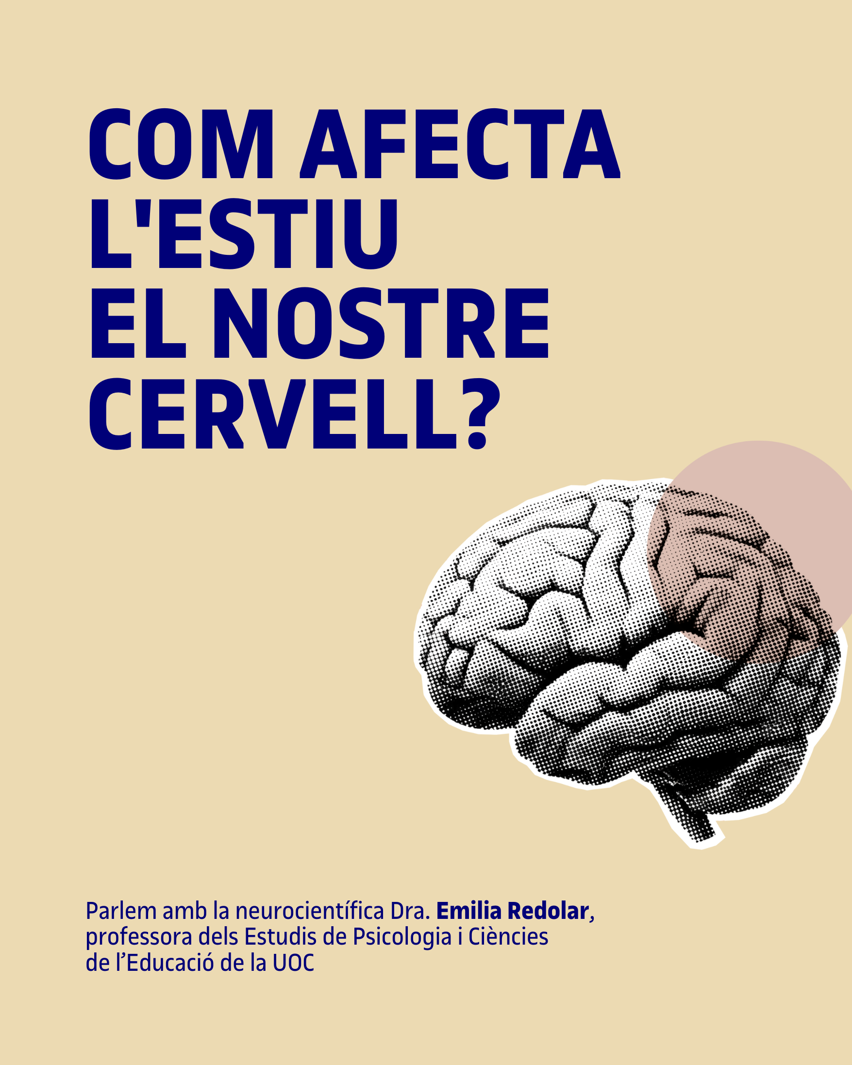 cervell-estiu-0