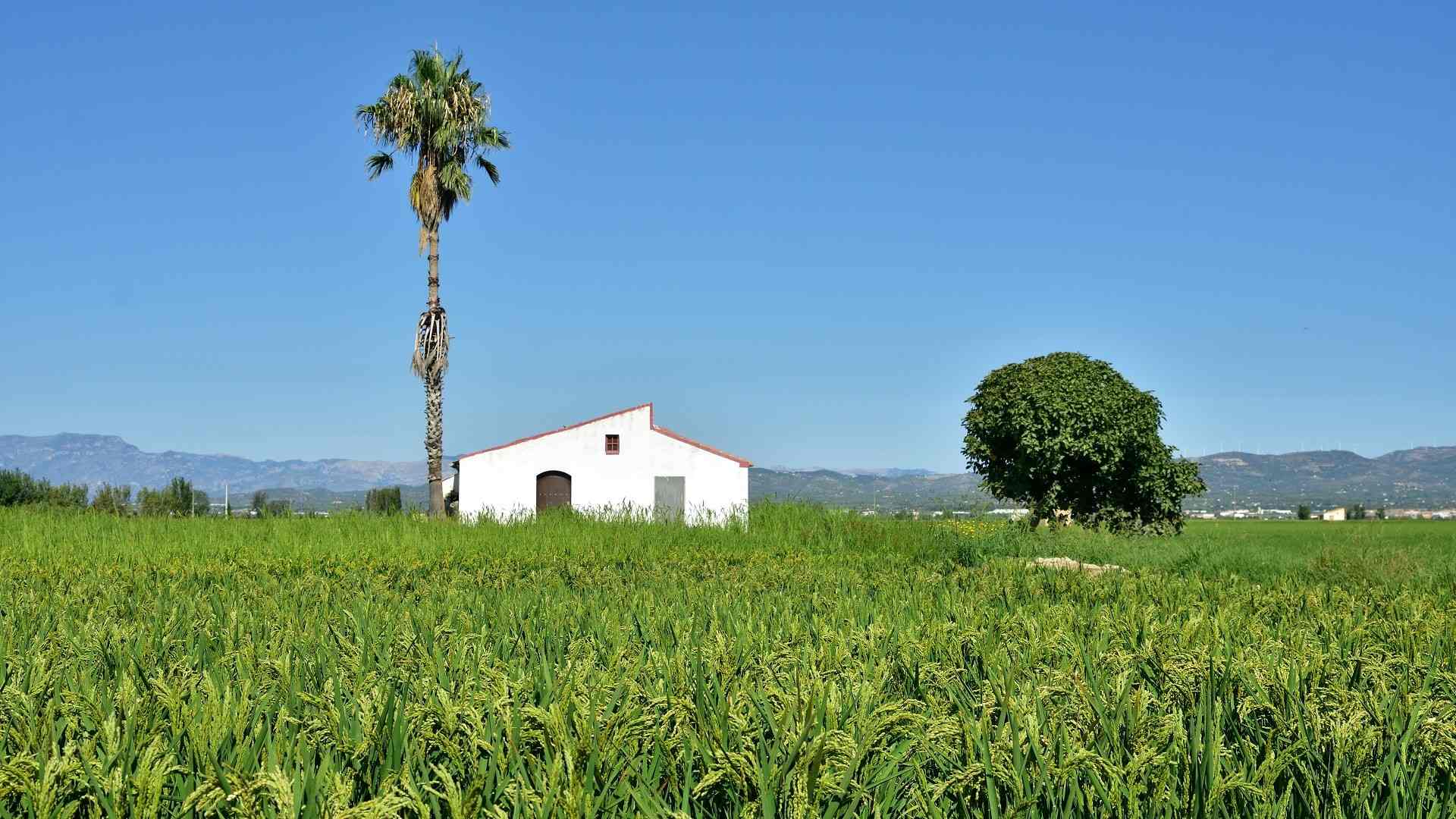La Universitat Oberta de Catalunya s'adhereix a la Declaració sobre el futur de les zones rurals de la Unió Europea
