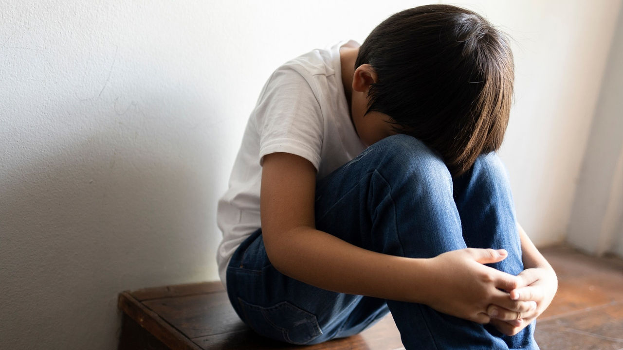 Children with developmental language disorder have more emotional ...