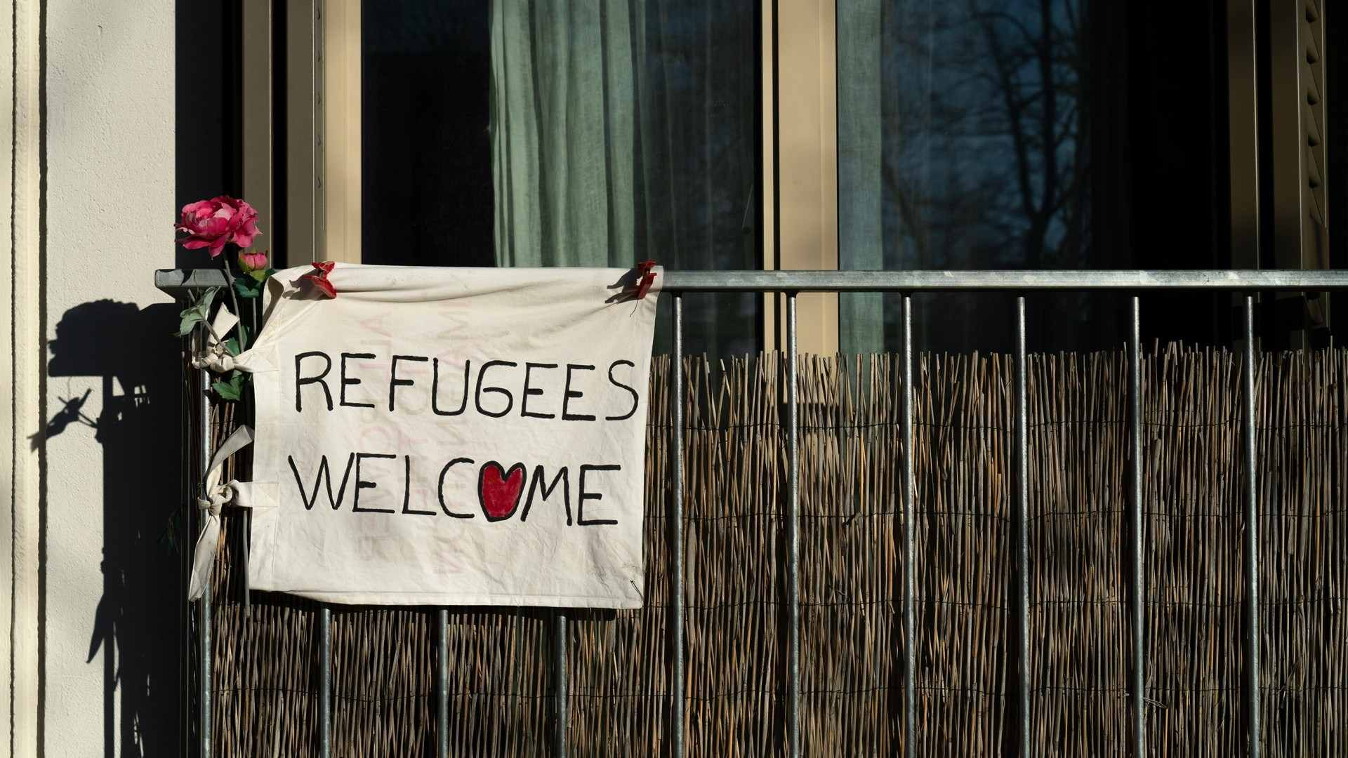 La UOC celebra 10 anys com a Universitat Refugi, amb més de 270 persones refugiades acollides
