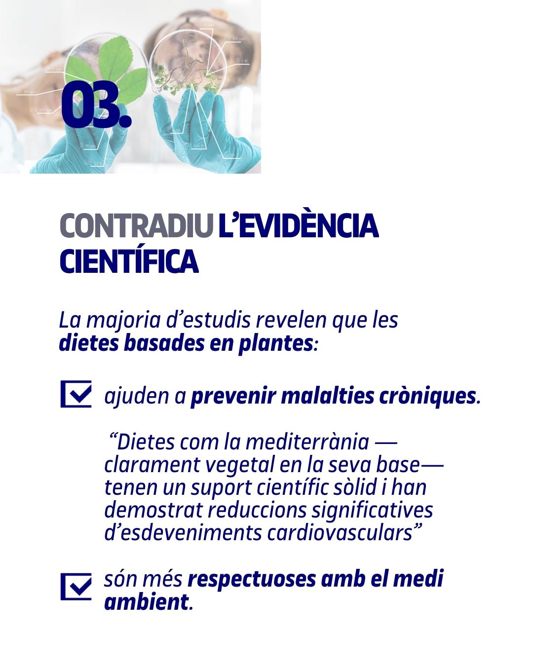 Piràmide nutricional i sostenibilitat