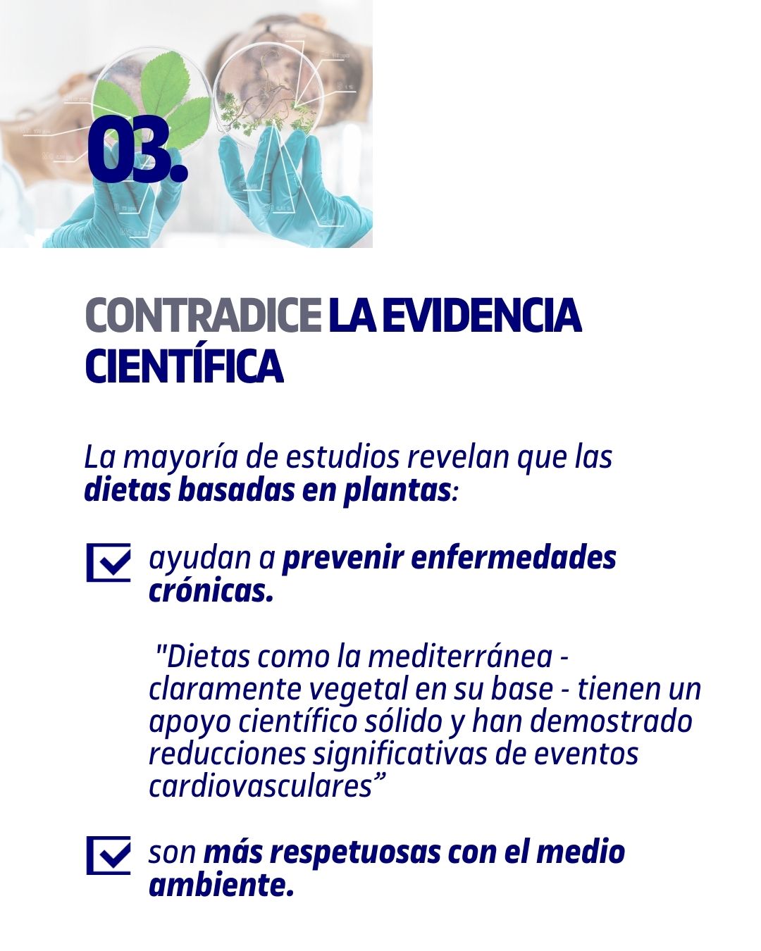 Piràmide nutricional i sostenibilitat