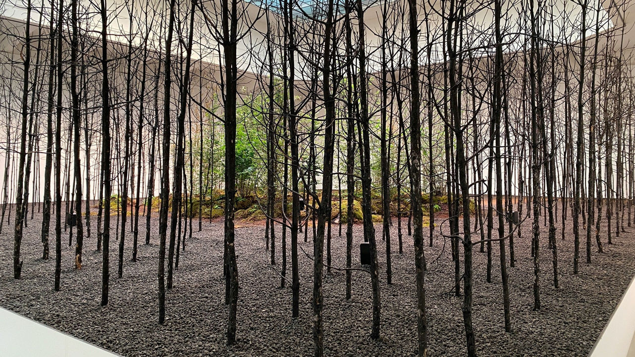 (Foto: Steffen Wienberg / Unsplash)