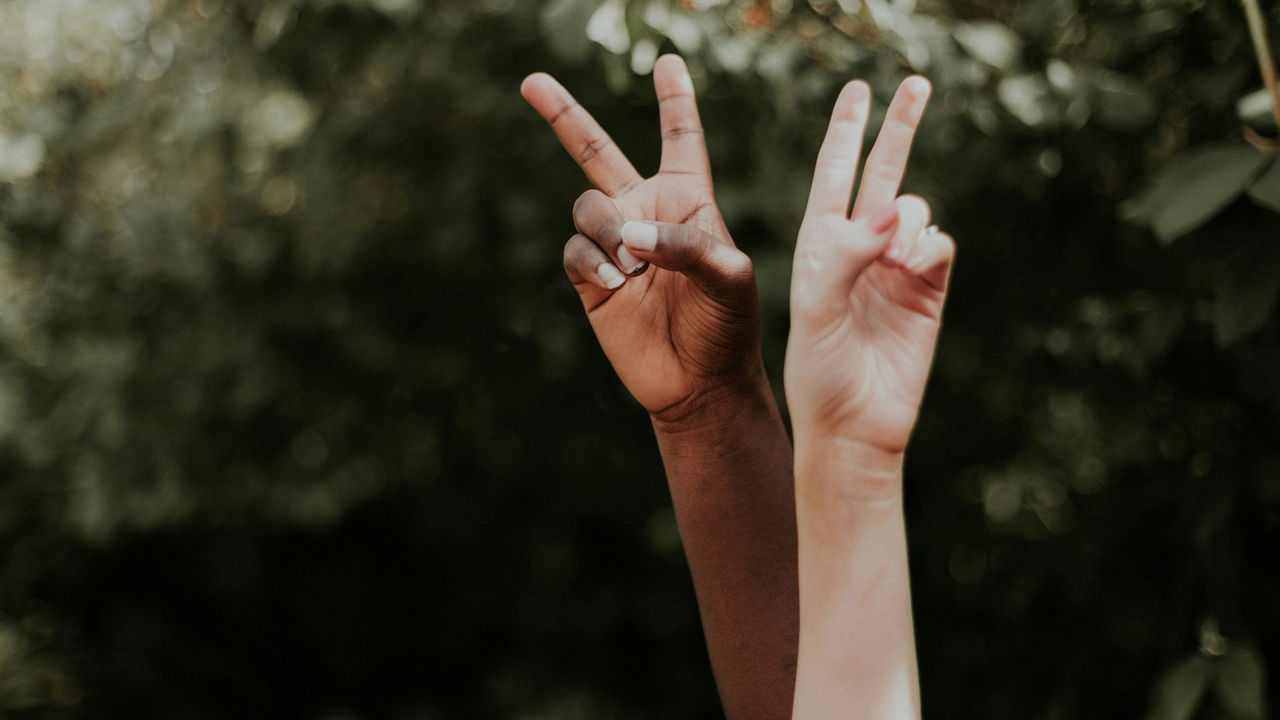 (Foto: Priscilla Du Preez 🇨🇦 / Unsplash)