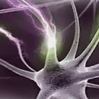 Imatge article Dani Aranda