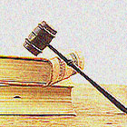 Imatge article Candela Ollé 