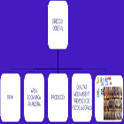 Imatge article Montserrat Garcia Alsina