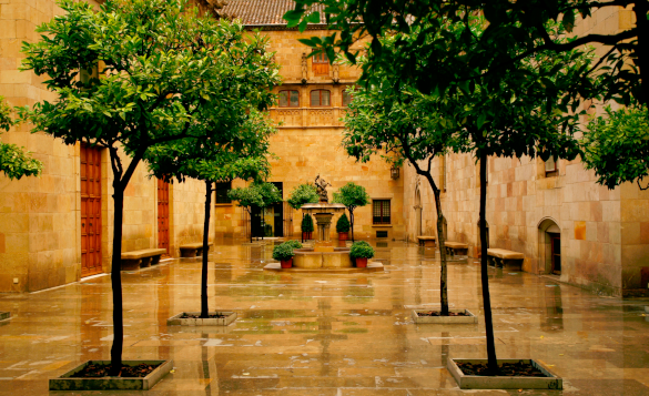 img1-dins article-generalitat_tarongers