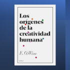 Imatge de l'article de Sílvia Sivera Buscant els orígens de la creativitat arribes al futur