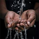 Imagen del artículo de Amalia Creus Agua