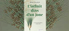 D L’NFNT DNS D’N JNC Imatge de l'article d'Andrea Rosales D L’NFNT DNS D’N JNC