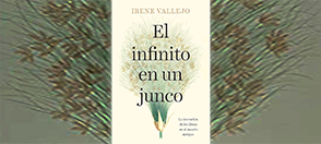 Imagen del artículo de Andrea Rosales DL NFNT N N JNC