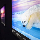 Imagen del artículo de Gemma San Cornelio A propósito de la exposición ‘Los colores del mundo’: una conversación sobre color con una IA