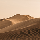 Imagen del artículo de Elena Bartomeu Magaña ‘Dune’ y los artefactos de ficción