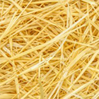 Imagen del artículo de Elena Bartomeu Magaña El peso de la paja