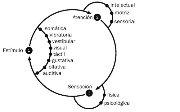 img-dins_article-155-bartomeub