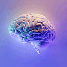 Imagen del artículo de Alexandre López-Borrull ¿Una ciencia más abierta en un mundo más cerrado?