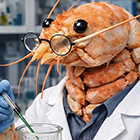 Imagen del artículo de Irma Marco Internet muerto y la IA del futuro: de la conspiración a la 