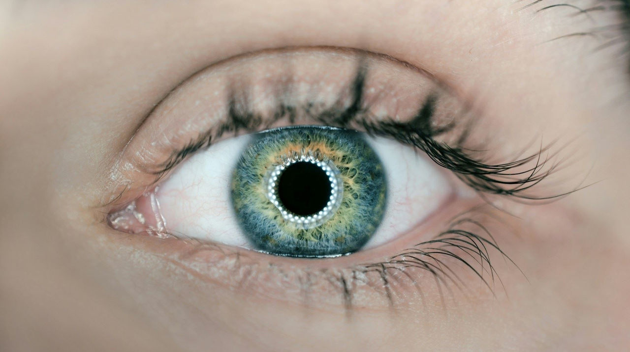 The iris is a very sensitive biometric data
