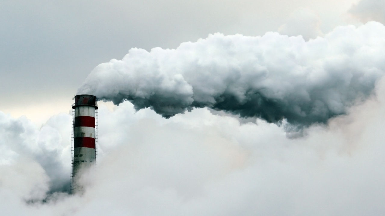 Fin del greenwashing