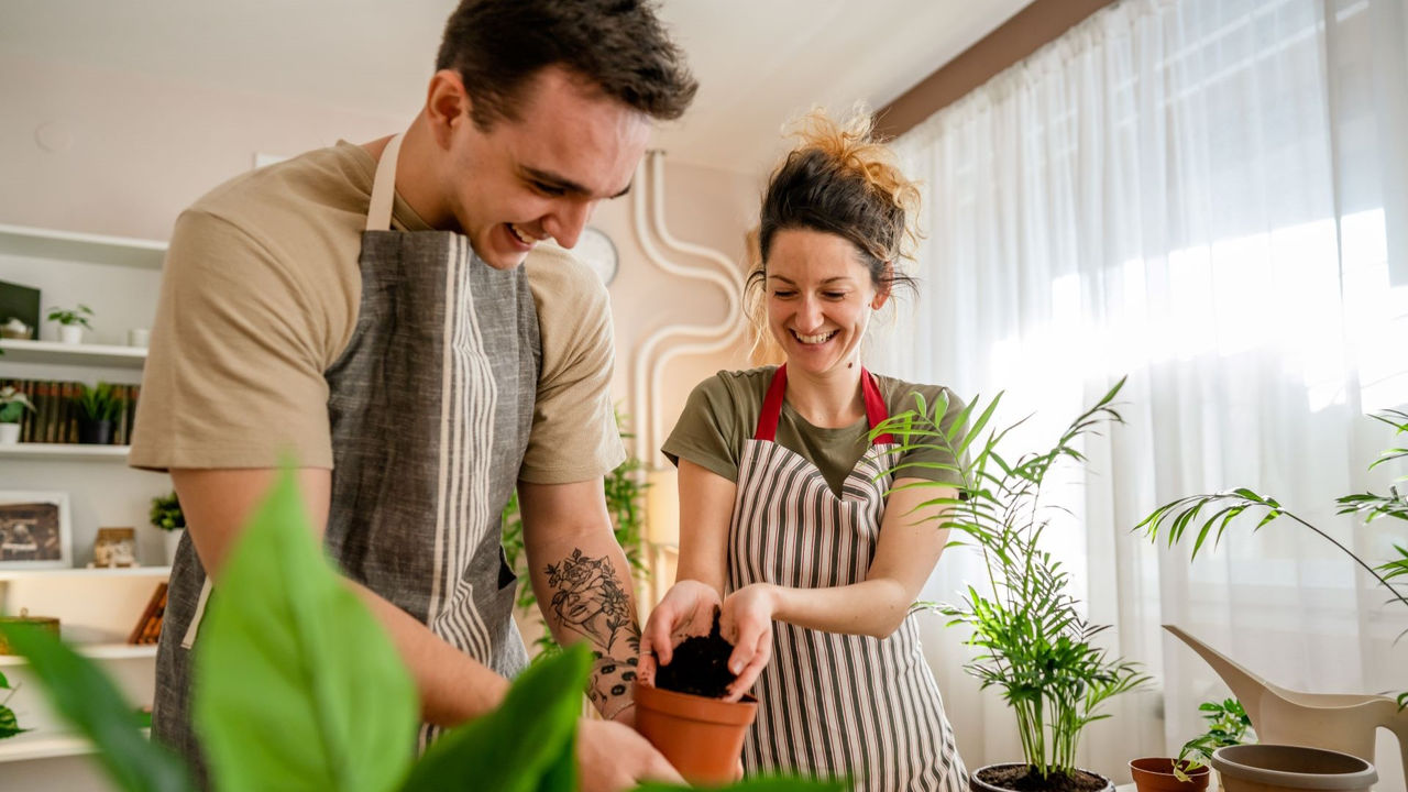 plants parents tendencia