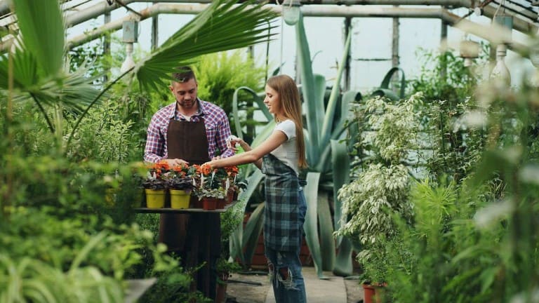 ¿Cómo pueden las pymes convertirse en motores de una Europa más verde e inclusiva?