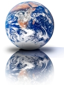 Universidad red en la red