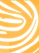 <i>Digithum</i> presenta nuevas perspectivas en el estudio de los medios de comunicaci�n 