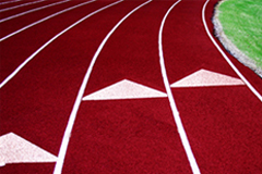 Nou curs acadmic 2012-2013