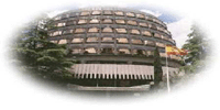 Tribunal Constitucional de Espaa